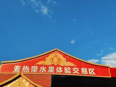 -曼阁市场水果批发市场