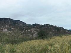 -浙西天池景区