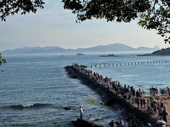 -八大关景区