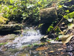 -山王坪喀斯特国家生态公园