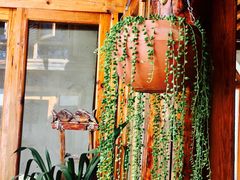 -乡绅本色白家厨坊