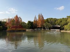 -瀛洲公园