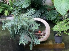 -漫笙舍Manse·咖啡·民宿