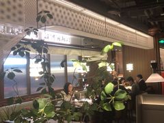 -前海沿·青岛菜(大拇指广场石老人店)