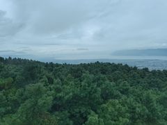 -苍山感通索道