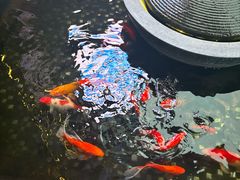 -云庭汇·粤菜海鲜(东盟盛天地店)
