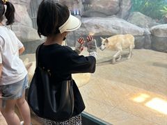 -福州罗源湾海洋世界旅游区