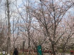 -武汉园博园(武汉自然博物馆)