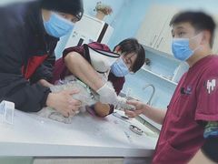 -北京观赏动物医院·24小时大型综合·猫专科·异宠专科