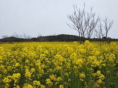 -西海岸生态观光园
