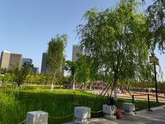 -西海子公园