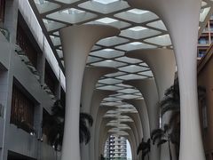 -亚马逊丛林水乐园