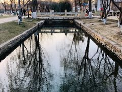 -春风习习