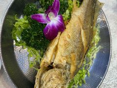 -东江海鲜大排档·潮汕菜·砂锅粥