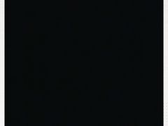 -额尔敦牛厨师铜板烧