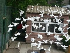 -南京金牛湖风景区