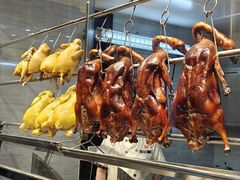 -农汤老店(顺联公园里店)