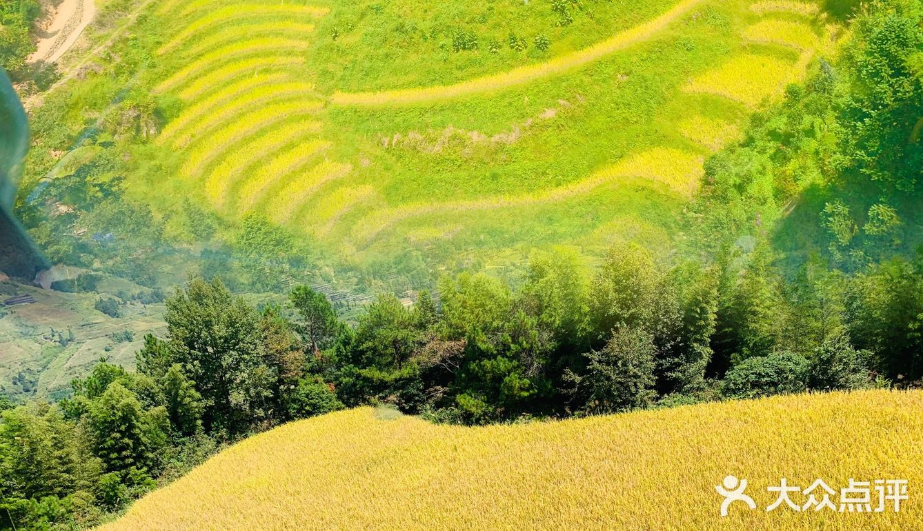 龙脊“梯田”带你感受大自然的馈赠🍃