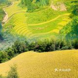 龙脊“梯田”带你感受大自然的馈赠🍃