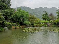 -中国茶叶博物馆(双峰馆区)