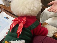 -伽利略剧本探案馆(国贸店)