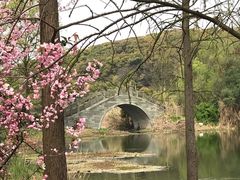 -上海市保健医疗中心(华东疗养院)