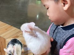 -昆明大悦城未来动物城(螺蛳湾中心店)