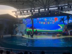 -三亚海昌梦幻海洋不夜城