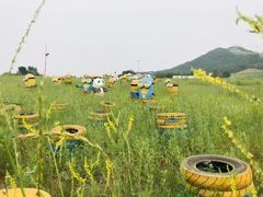 -北京莲花山滑雪场