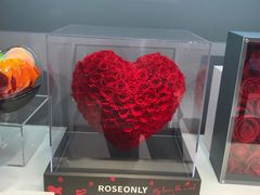 -ROSEONLY诺誓(广州K11店)