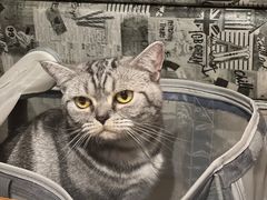 -江渔儿酸菜鱼(东二环泰禾店)
