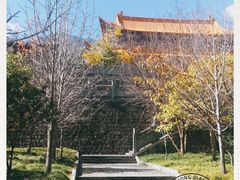 -崇圣寺三塔文化旅游区