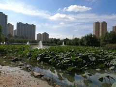 -前关湿地公园