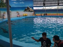 -尼莫海豚馆