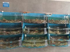 -蓝珊海鲜澳洲和牛自助餐厅