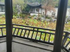-八大山人梅湖景区