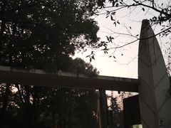 -南山植物园