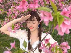 -天适樱花悠乐园