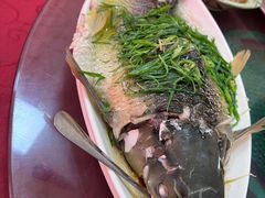 -雄仔农家菜馆·特色葱油鸡(六祖店)