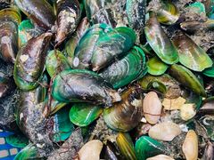 -后田海鲜餐厅(南澳香湖湾店)