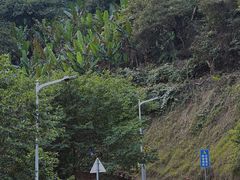 -黄埔油麻山森林公园