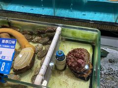 水产区-强记海鲜·大排档(蛇口新街店)
