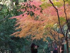 -汇龙潭
