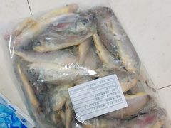 -昆明动物园