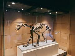 -墨尔本博物馆(Melbourne Museum)