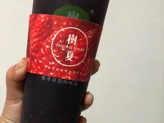 -树夏(建设路店)