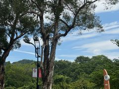 -顺德杨廷记(白云山店)