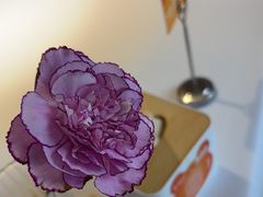 -眉州东坡(龙湖店)