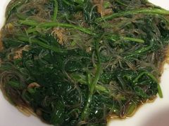 肉炒菠菜粉丝-九龙餐厅(大沽路店)