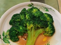 -田螺阿姨自营月嫂·育儿嫂(高新店)